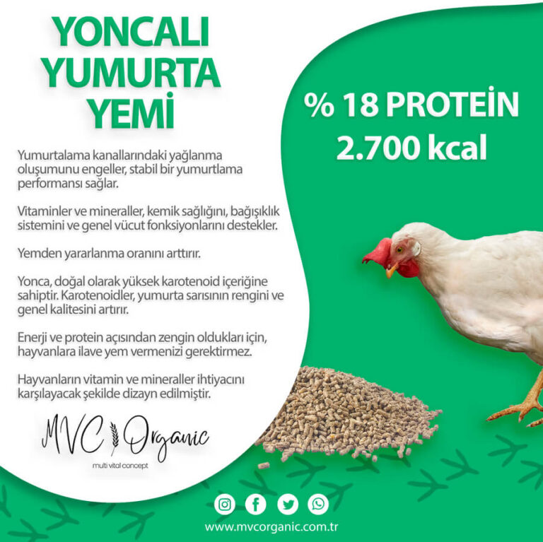 Yoncalı Yumurta Yemi (18HP) photo review